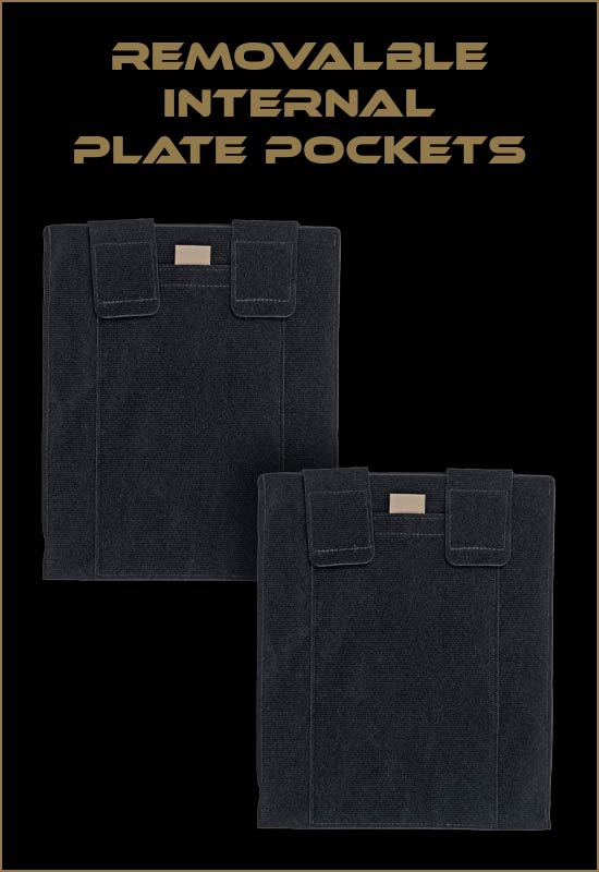 removable internal plate pockets